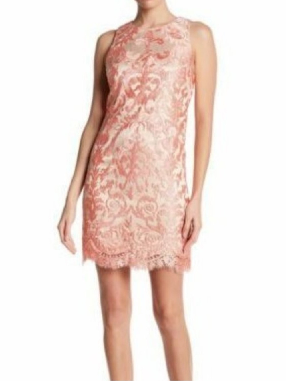 Eliza J Womens Pink Jacquard Lace Elegant Shift Dress, Size 12P